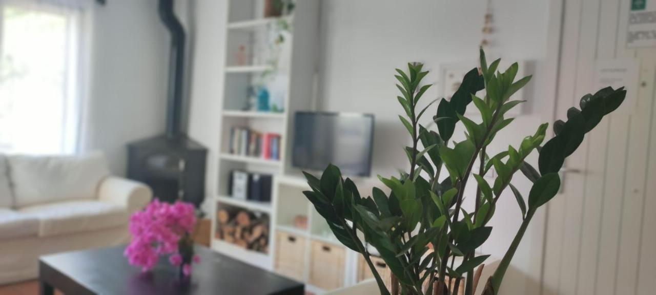 Piedranegra, Apartamento Completo Con Patio, Terraza Y Bbq Rodalquilar Kültér fotó