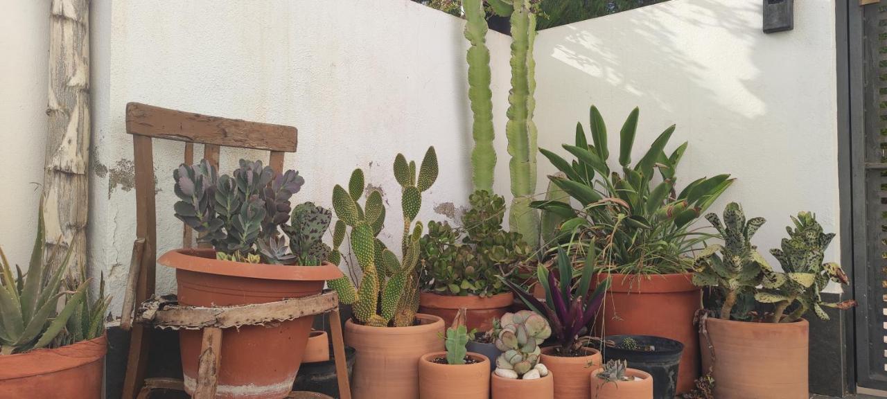 Piedranegra, Apartamento Completo Con Patio, Terraza Y Bbq Rodalquilar Kültér fotó